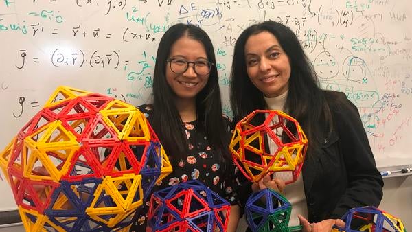 Siyu Li and Roya Zandi